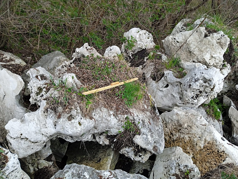 Kamenclub.ru: Выветренный известняк (степной) фр. 500-1500 мм.  купить в Коломне    10000 руб/т   фото КАМЕНЬ КЛУБ