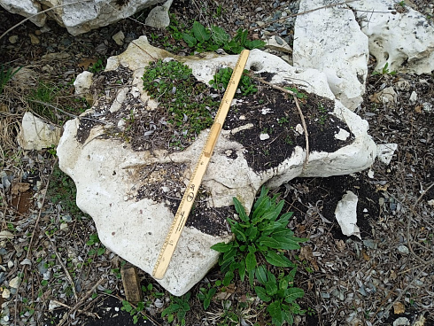 Kamenclub.ru: Выветренный известняк (степной) фр. 500-1500 мм.  купить в Коломне    10000 руб/т   фото КАМЕНЬ КЛУБ