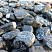 Kamenclub.ru: Щебень галтованный черный (мрамор) фр.20-40 мм.  купить в Коломне мрамор черный с белыми прожилками мрамор окатанный округлый 15000 руб/т   фото КАМЕНЬ КЛУБ