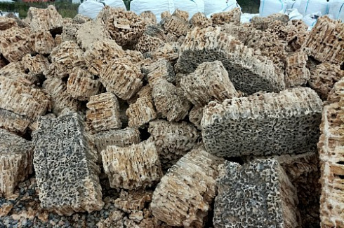 Kamenclub.ru: Крымский природный меотис фр. 100-500 мм.  купить в Коломне меотис бежевый рыжий молочный желтый ракушечник 4 500 руб/т   фото КАМЕНЬ КЛУБ