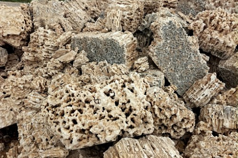 Kamenclub.ru: Крымский природный меотис фр. 100-500 мм.  купить в Коломне меотис бежевый рыжий молочный желтый ракушечник 4 500 руб/т   фото КАМЕНЬ КЛУБ