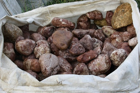 Kamenclub.ru: Розовый валунчик фр.100-300 мм.  купить в Коломне крупный природный камень розовый, серый молочный красный речной галечник природный 7850 руб/т   фото КАМЕНЬ КЛУБ