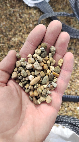 Kamenclub.ru: Галька окат (серо-желтая) фр.5-10 мм. купить  в Коломне галька речная рыжий, желтый, рыжий, серо-желтый речная окатанная галька декоративная 5000 руб/т   фото КАМЕНЬ КЛУБ